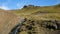 Sheep walks along the slope next to a small flowing river