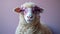 Sheep Wearing Sunglasses on Pink Background