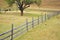 Sheep and wooden fence