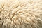 Sheep wool skin