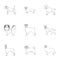 Sheepdog, dachshund, bernard, and other web icon in outline style.Spitz, boxer, beagle, icons in set collection.