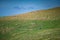 sheepfold in the alpine area