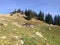 Sheepfold in Fagaras Mountains