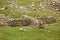 Sheepfold near Great End fell