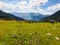 The sheepfold on Soarbele Valley, Iorgovanu Mountains, Romania