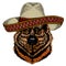 Sheepherd dog, sheepdog portrait. Sombrero mexican hat. Head of pet. Animal face.