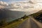 Sheeps along the road to mount Hoven, splendid view over Nordfjord from Loen skylift