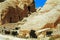 Sheeps around Petra, Jordan