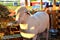 A sheeps an enclosure at farm waiting to be sheared. Australian Ram and sheep.