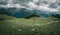 Sheeps in the french pyrenees mountains