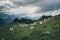 Sheeps in the french pyrenees mountains