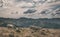 Sheeps in the french pyrenees mountains