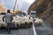 Sheeps on Georgian Military Road