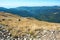 Sheeps graze on alpine plateau in the Carpathian mountains, Romania. View of Transalpina tourist highway and tableland