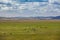 Sheeps grazing on farmland with wind turbines in the background