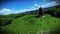 Sheeps on green meadow and windmill, camera fly