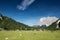 Sheeps at mountain meadow with lake seebensee