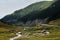 Sheeps near Transfagarasan Highway, Romania