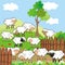 Sheeps, pasture,landsape, large group of animals, eps.