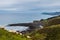 Sheeps pasturing in Zumaia coast