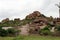 Sheeps roaming around the hill of Hampi, probably unguided