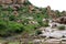 Sheeps roaming around the hill of Hampi, probably unguided