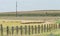 Sheeps stall, flock eating green grass, countryside fence