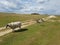 Sheeps walking on the country road