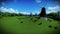 Sheeps and windmill on green meadow