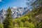 Sheer mountain wall raising above spring pine forest.