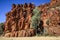 The sheer quartzite cliffs at Trephina Gorge, East MacDonnell Ranges, Northern Territory, Australia
