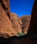 The sheer size of the olgas domed rocks during the midday sun, Northern Territory, Australia