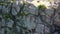 Sheer stone rock, aerial view. Boulders from a bird`s eye view