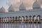 Sheik Zayed Grande Mosque