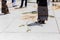 Sheikh Zayed Mosque Marble Floor Decorated, The Great Marble Grand Mosque at Abu Dhabi, UAE