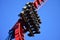 Sheikra Rollercoaster is an exhilarating experience from start to finish at Bush Gardens Tampa