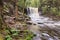 Sheldon Reynolds Falls, Ricketts Glen State Park