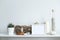 Shelf against white wall with decorative candle, glass, wood and rocks. Home plant in pot