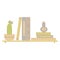 On the shelf are books, a potted cactus in bloom, and a bottle of perfume. Flat design, vector interior illustration in pastel