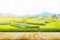 Shelf of Brown wood plank board with blurred green rice field farm with mountain and hut nature background