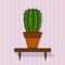 Shelf with cactus