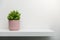 Shelf on white wall with green plant in pink pot. copy space