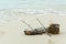 Shell ,coral, branch and coconut on beach