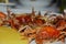 Shell crabs and yellow cornmeal mush, close up