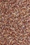 Shell crushed background pattern composed of mollusks brown marine tropical vertical base