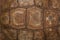 The shell of a giant turtle, close-up. Background texture and carapace pattern. Turtle shell texture details