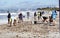 Shell hunters on St. Pete Beach, Florida