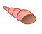 Shell. Long thin spiral pink shell - vector full color picture. Mollusk shell - underwater world.