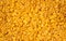 Shell macaroni pasta background pattern