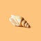 Shell on orange background. Minimalist pictures